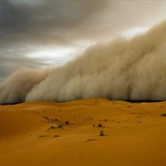 К чему снится Песчаная буря